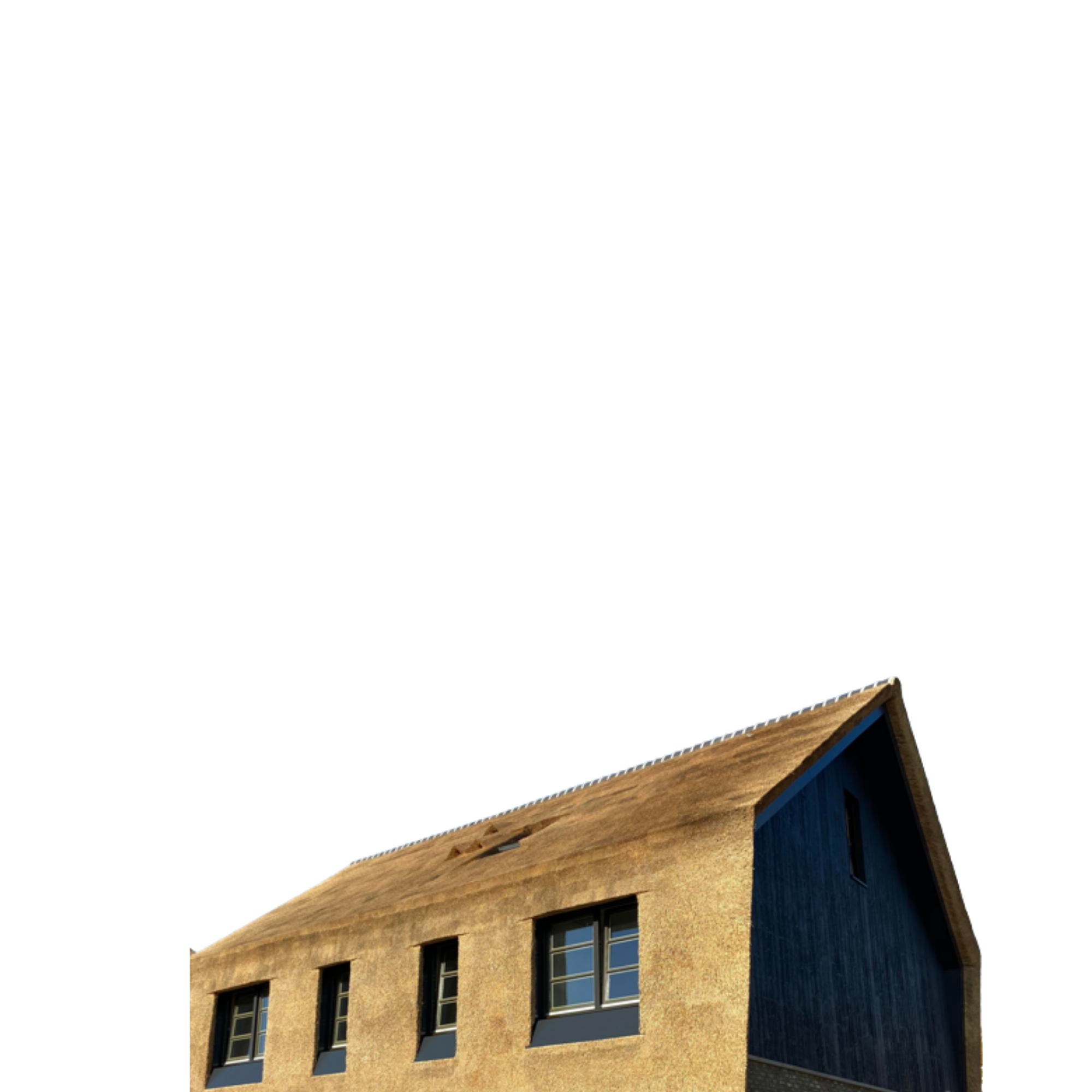 Rieten dak