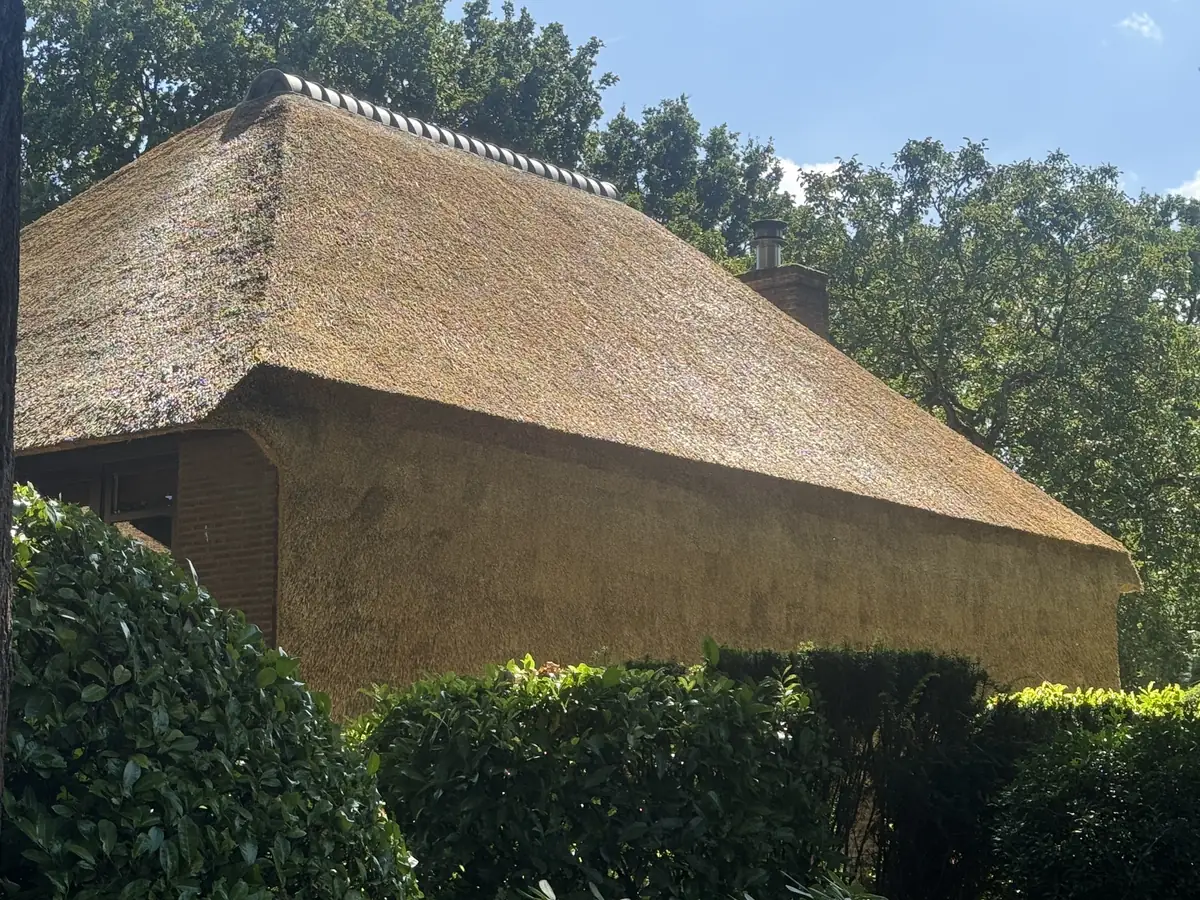 Riet op dak en gevel in één doorlopend vlak