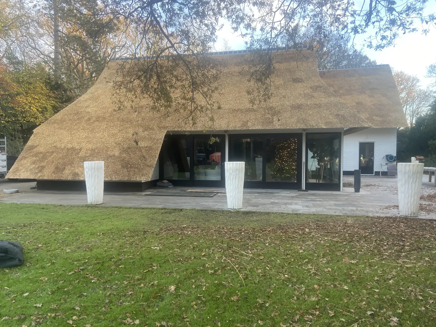 Woning met een rieten dak aan de rand van een bos
